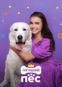 Лучший пёс Лучший пёс
