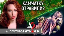 Камчатку отравили? Экологическая катастрофа в Тихом Океане Камчатку отравили? Экологическая катастрофа в Тихом Океане