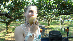 PEAR PEAR