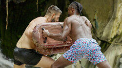 Mating Like Animals