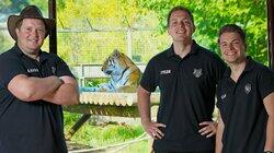 The Tigers The Tigers