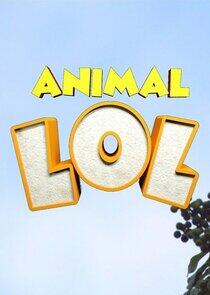 Animals LOL Animals LOL