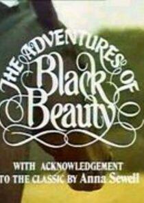 The New Adventures of Black Beauty The New Adventures of Black Beauty