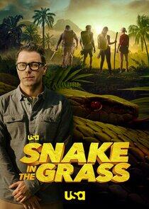 Snake in the Grass Snake in the Grass