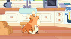 Handstand Handstand