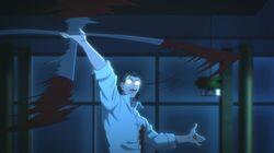 anima/force anima/force