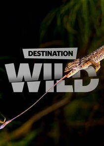Destination Wild Destination Wild