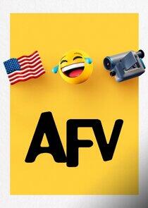 America's Funniest Home Videos America's Funniest Home Videos