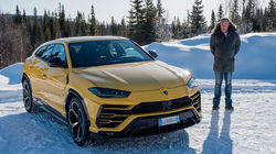 An Itchy Urus An Itchy Urus