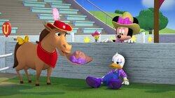 The Pony Prance Square Dance
