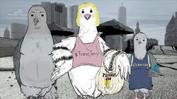 Pigeons. Pigeons.