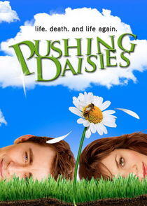 Pushing Daisies Pushing Daisies