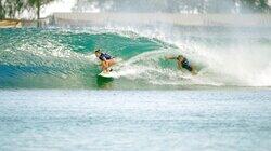 Party Wave: Risk It for the Biscuit Party Wave: Risk It for the Biscuit