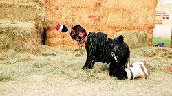 Pony Play / Addicted to Drinking Paint Pony Play / Addicted to Drinking Paint