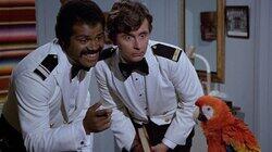 The Captain's Bird / That's My Dad / Captive Audience The Captain's Bird / That's My Dad / Captive Audience