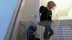 Skunks on a Plane Skunks on a Plane