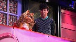 Miss Piggy Miss Piggy
