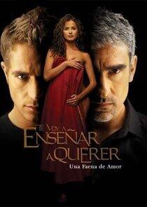 Te Voy a Enseñar a Querer Te Voy a Enseñar a Querer