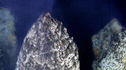 Pioneers of the Deep Pioneers of the Deep
