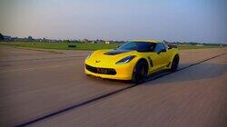 Exotics Exotics