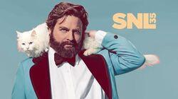 Zach Galifianakis / Vampire Weekend Zach Galifianakis / Vampire Weekend