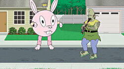 Hoppy Bunny Hoppy Bunny