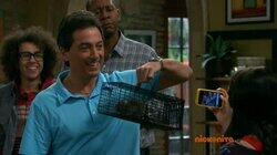 See Dad Catch a Rat See Dad Catch a Rat