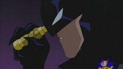 The Cat and the Bat The Cat and the Bat