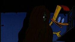 My Feral Lady My Feral Lady