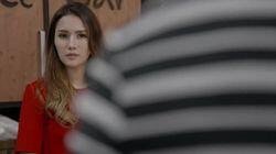 Episode 253 Episode 253
