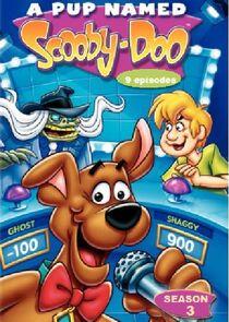 A Pup Named Scooby-Doo - Season 3 A Pup Named Scooby-Doo - Season 3