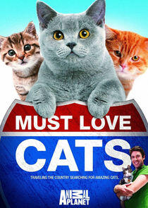 Must Love Cats Must Love Cats
