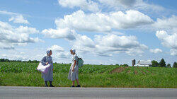 The Panic in Amish Park The Panic in Amish Park