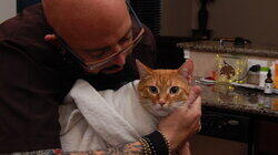 Surprise Attack Cat!