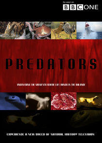 Predators Predators