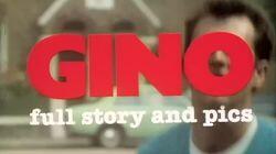 Gino - Full Story and Pics Gino - Full Story and Pics