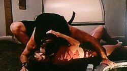 Thunder in Paradise (2) Thunder in Paradise (2)