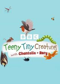 Teeny Tiny Creatures Teeny Tiny Creatures