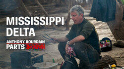 Mississippi Delta