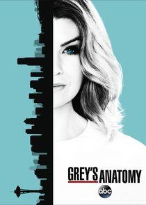 Grey's Anatomy - Season 13 Grey's Anatomy - Season 13