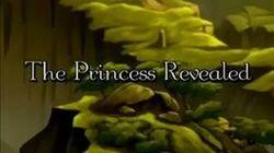 The Princess Revealed The Princess Revealed