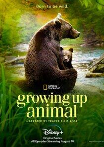 Growing Up Animal Growing Up Animal