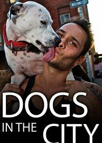 Dogs in the City Dogs in the City