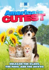 America's Cutest America's Cutest