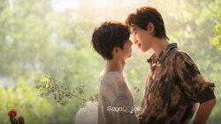 Who could resist their first love? Who could resist their first love?