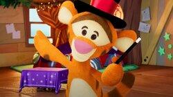 Tigger the Magician Tigger the Magician