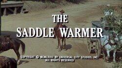 The Saddle Warmer The Saddle Warmer