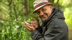 Crucian Carp: Great Somerford Lakes, Wiltshire Crucian Carp: Great Somerford Lakes, Wiltshire