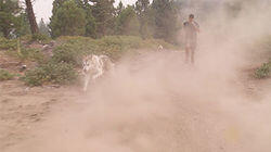 Go Pack Go: Wolf Pack Go Pack Go: Wolf Pack