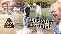 Et rigtigt lortejob Et rigtigt lortejob